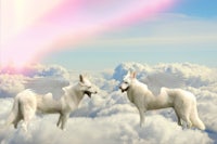 two white shepherd dogs standing in the clouds