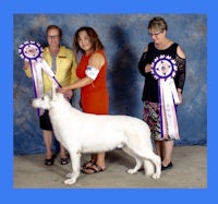 three women standing next to a white dog with ribbons